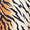 BELLA BOTTOM - TIGER